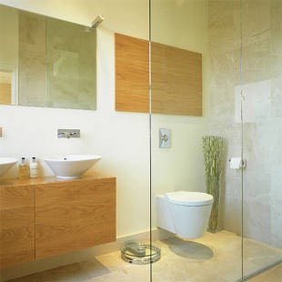Modern shower room Bathrooms - Top ten for 2008 | Bathroom design | PHOTO GALLERY | Housetohome.co.uk