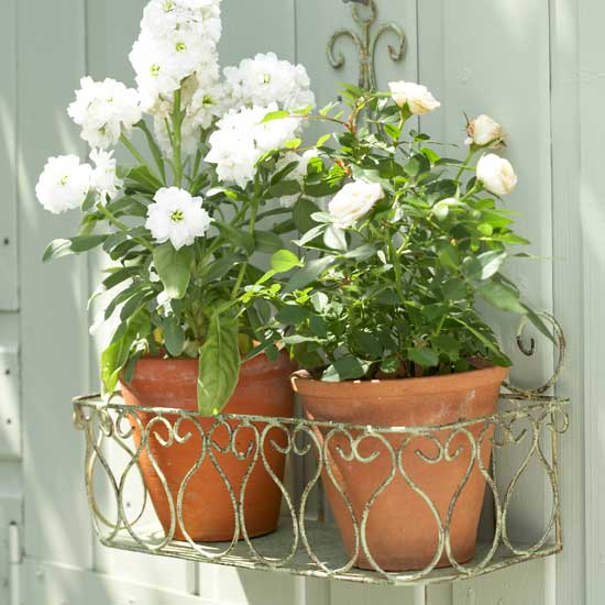 Shabby chic vintage wireplanter | Garden idea | Country garden | PHOTO GALLERY | Housetohome.co.uk