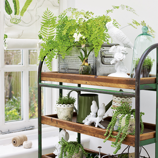 Open conservatory storage