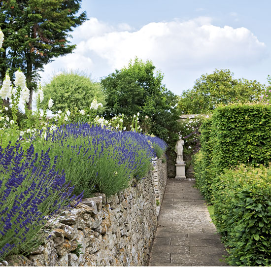 Beautiful walled garden
