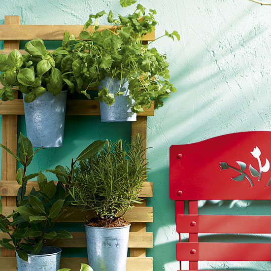 A mini herb garden | Small garden ideas | Garden design ideas | Garden | PHOTO GALLERY | Housetohome.co.uk