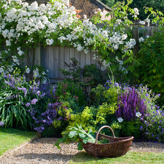 Colourful traditional garden plants Colourful traditional garden plants | Traditional gardens | Garden design ideas | PHOTO GALLERY | Housetohome.co.uk