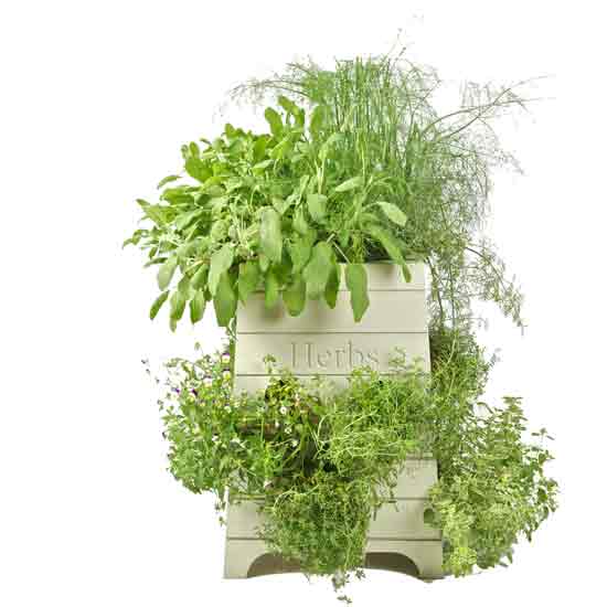 Beehive herb planter - Sparrow & Finch | Outdoor pots | Plant pot ...