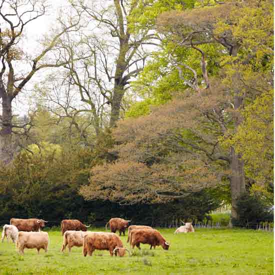 Best places to live in the UK | Falkirk | Popular cities | PHOTO GALLERY | Housetohome.co.uk