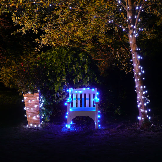 Solar-powered fairy lights from Nigel's Eco Store Solar-powered lights | Eco lighting | Garden lighting | PHOTO GALLERY | Housetohome.co.uk