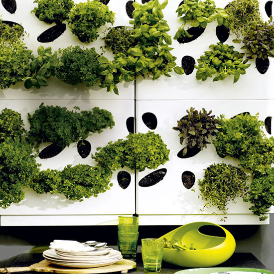 Herb garden wall Herb garden wall | Garden design ideas for 2012 | Garden | PHOTO GALLERY | Housetohome