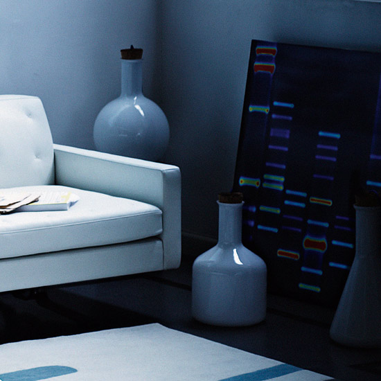 Black-and-navy furnishings | Break the colour rules | decorating with colour | decorating tips | PHOTO GALLERY | Housetohome