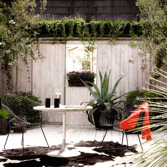 Small decked garden | Contemporary gardens | Garden designs | PHOTO GALLERY | Housetohome
