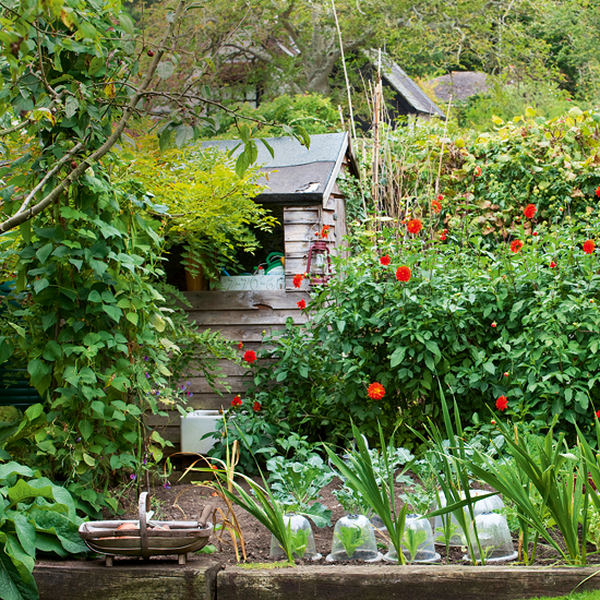 Vegetable garden with shed Country cottage garden tour ...