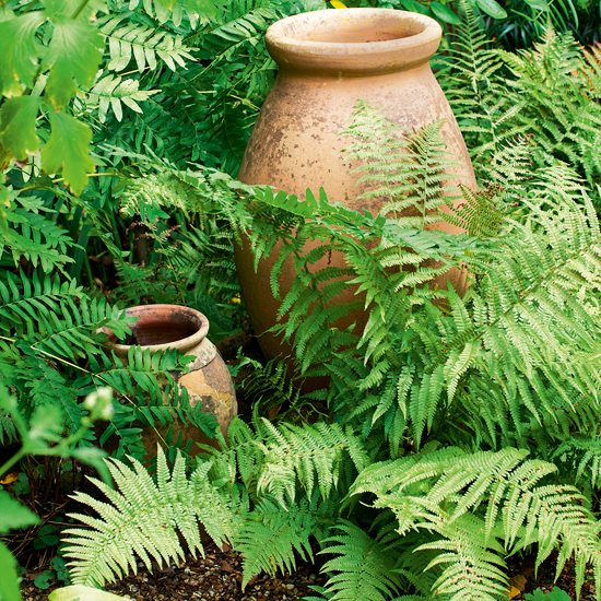 Garden with teracotta pots Garden with teracotta pots | Country cottage garden tour | Garden tour | Garden design ideas | PHOTO GALLERY | Housetohome
