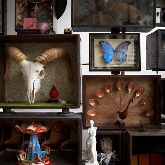 Hallway display Display | Jamie Theakston's quirky London home