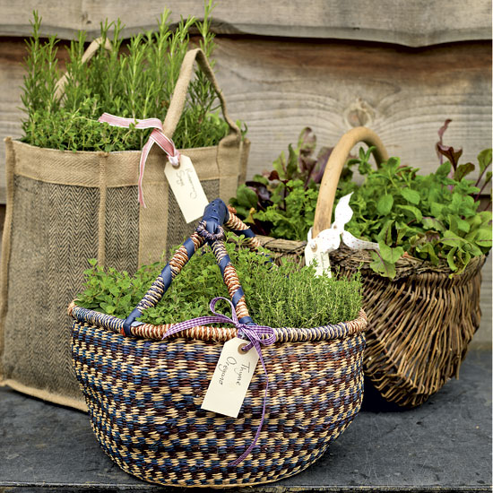 How to grow your own | Gardening Advice | Garden | PHOTO GALLERY | Country Homes & Interiors | Housetohome