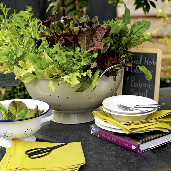 How to grow your own | Gardening Advice | Garden | PHOTO GALLERY | Country Homes & Interiors | Housetohome