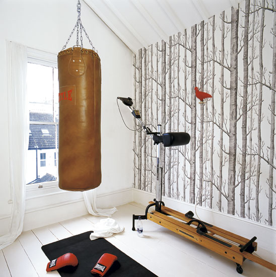 Home gym | Restored Regency house in Brighton | House tour | Modern decorating ideas | PHOTO GALLERY | Livingetc | Housetohome