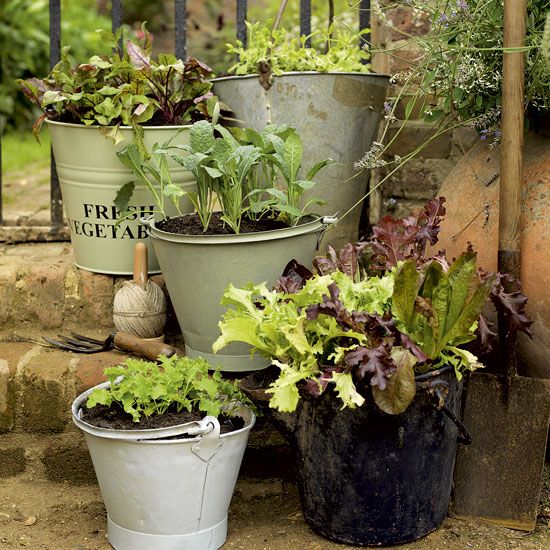 Assorted garden buckets