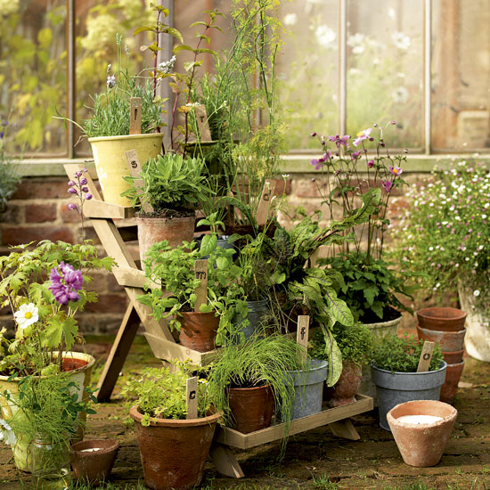 Garden potted plant display