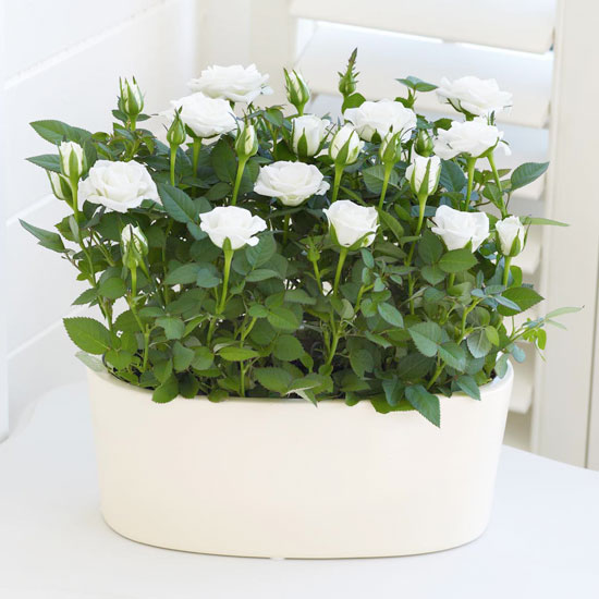 Country classic buys: pretty floral bedroom