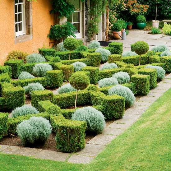 Box parterre garden