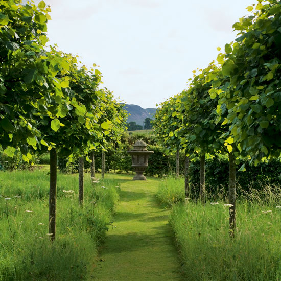 Tree lined garden pathway