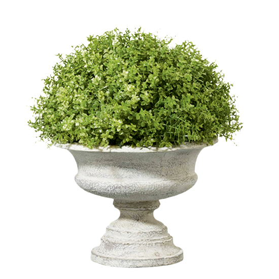 Faux-oregano plant from OKA