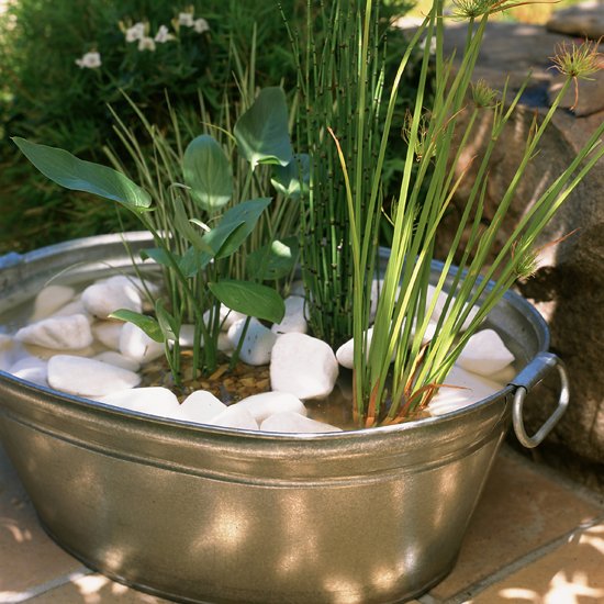 Plant up a container Plant up a container | garden ideas | PHOTO GALLERY | Housetohome