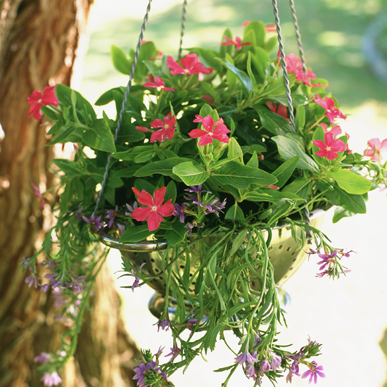 Put up a hanging basket Put up a hanging basket | garden ideas | PHOTO GALLERY | Housetohome