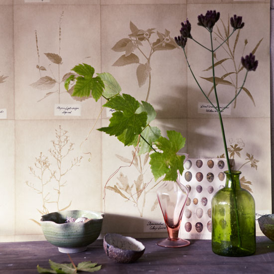 Create interest with wallpaper Faded botanical wallpaper with vases and plant cuttings | Design ideas | Housetohome | PHOTOGALLERY