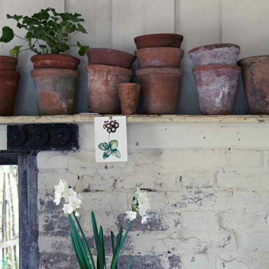 Mix and match pots Terracotta pots and a botanical print postcard | Design ideas | Housetohome | PHOTOGALLERY