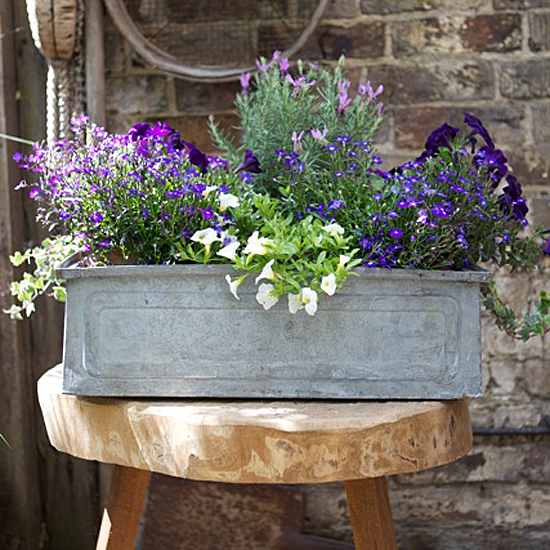 We love this vintage planter from The Balcony Gardener