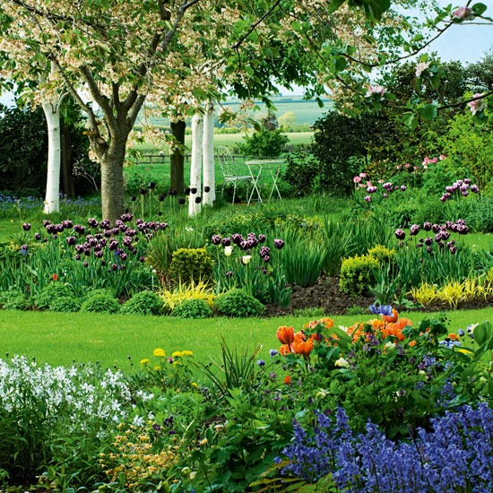 Choose bulbs for early colour Choose bulbs for early colour | garden | country | Country Homes & Interiors