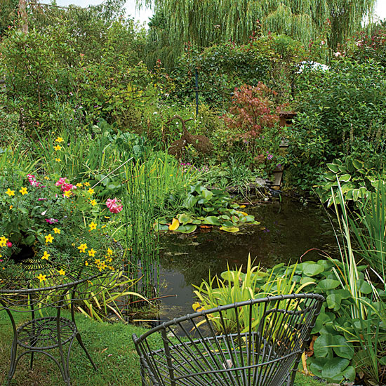 Put in a pond Put in a pond | garden | country | Country Homes & Interiors