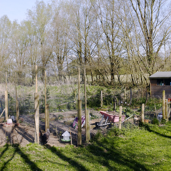 Garden allotment