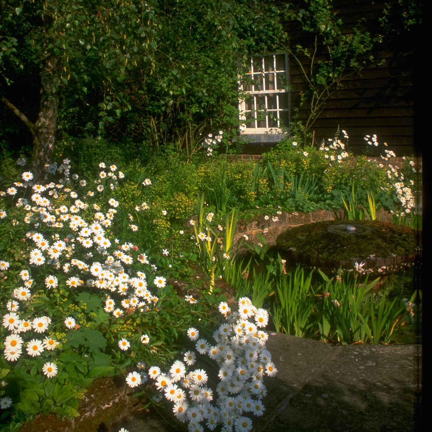 Water features | Jobs to do in the garden in April | Garden | Homes & Gardens