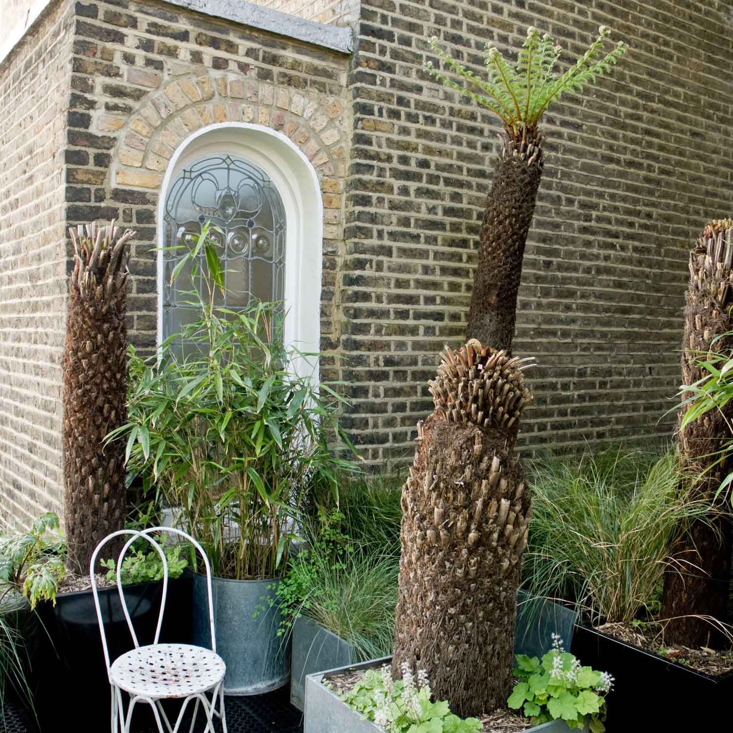 Tree ferns and exotics | Jobs to do in the garden in April | Garden | Homes & Gardens