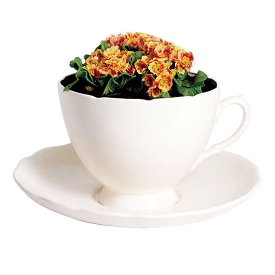 Giant cup and saucer planter by Rume Giant cup and saucer planter by Rume | Planters | Garden accessories | PHOTO GALLERY | Housetohome.co.uk