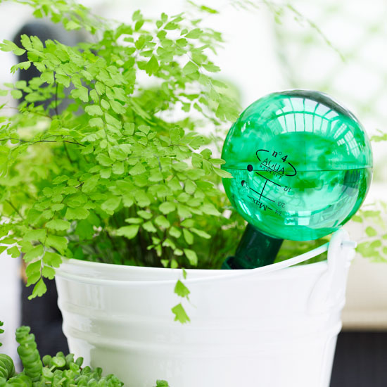 Feed and nurture | Jobs to do in the garden in May | Garden advice | Homes & Gardens | Housetohome | PHOTOGALLERY