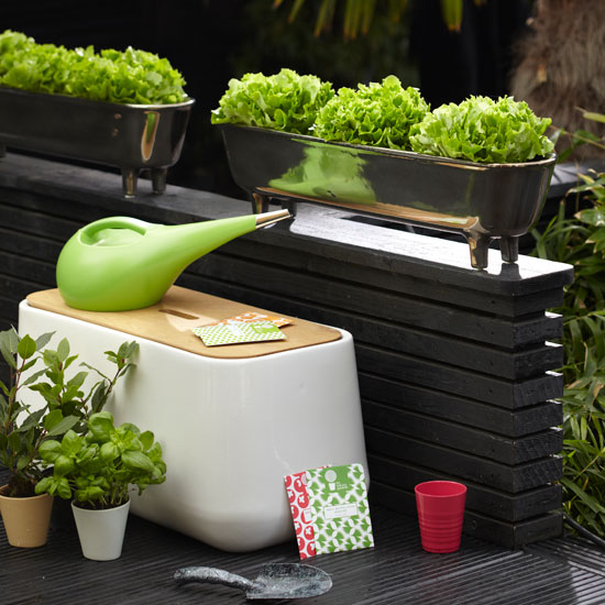 Sow and plant | Jobs to do in the garden in May | Garden advice | Homes & Gardens | Housetohome | PHOTOGALLERY