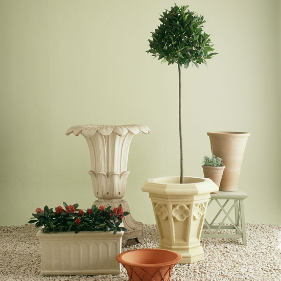 Update pots | Jobs to do in the garden in May | Garden advice | Homes & Gardens | Housetohome | PHOTOGALLERY
