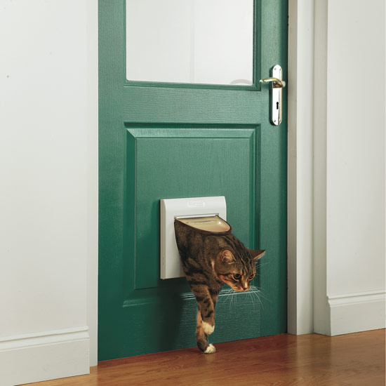 Staywell cat flap from Argos