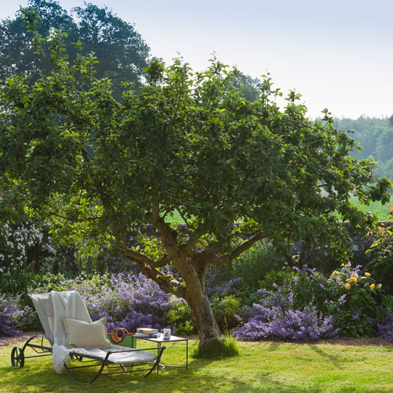 Orchard trees | Spacious Wiltshire garden | Cottage-style garden | Garden tour | Homes & Gardens | Housetohome | PHOTOGALLERY