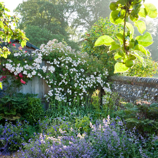 Cottage-style roses | Spacious Wiltshire garden | Cottage-style garden | Garden tour | Homes & Gardens | Housetohome | PHOTOGALLERY