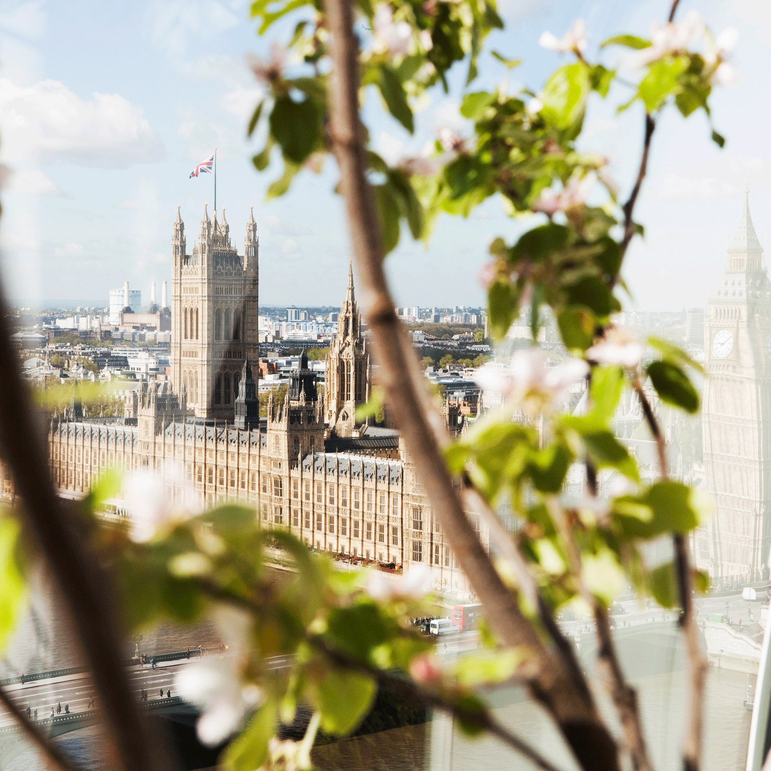 Andy Sturgeon garden at EDF Energy London Eye | Cityscapes 2012 | Homes & Gardens | House to Home