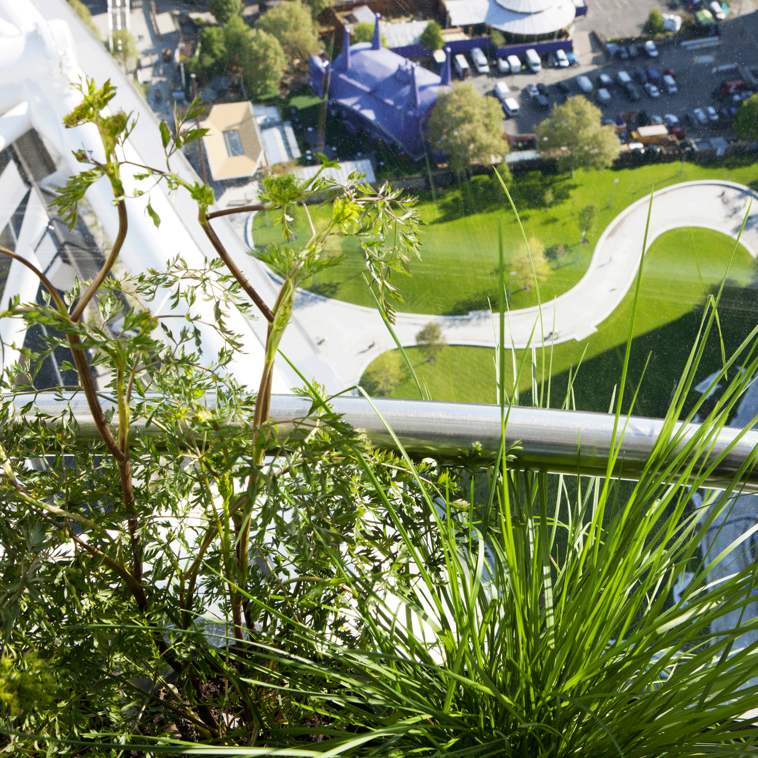Andy Sturgeon garden at EDF Energy London Eye | Cityscapes 2012 | Homes & Gardens | House to Home