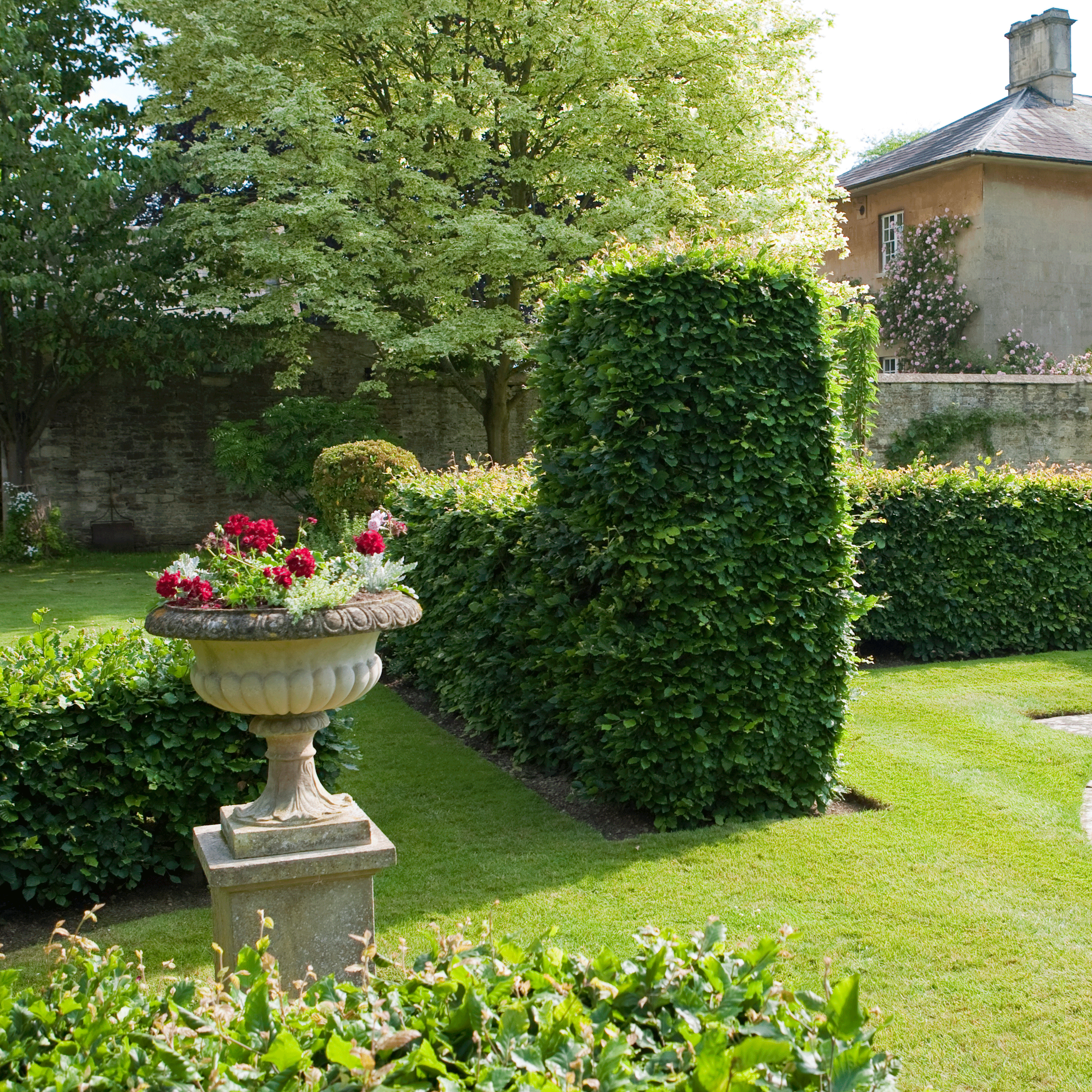 Cut back beech hedging | June garden jobs | Gardening ideas | Homes & Gardens | Housetohome | PHOTOGALLERY
