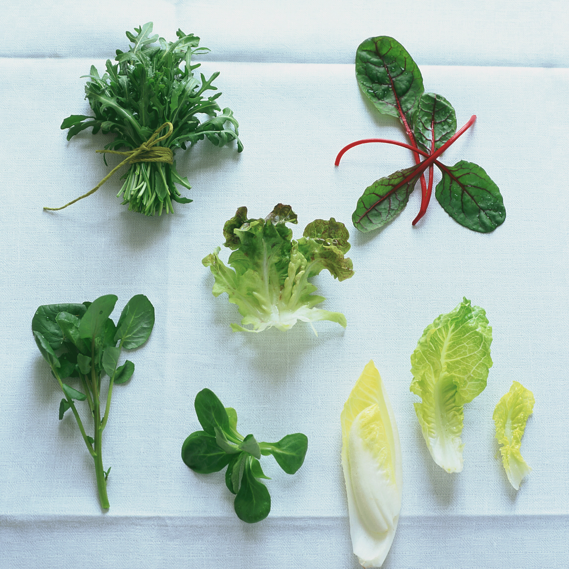 Harvest and sow salads | June garden jobs | Gardening ideas | Homes & Gardens | Housetohome | PHOTOGALLERY