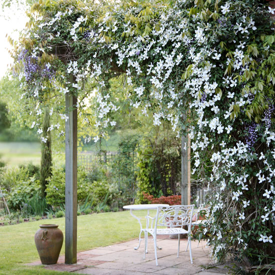 Classic garden beauty Grow over a pergola | In season: clematis | Garden idea | Homes & Gardens | Housetohome | PHOTOGALLERY