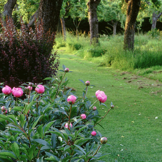 Time to mow | Country garden ideas | Homes & Gardens | Housetohome | PHOTOGALLERY