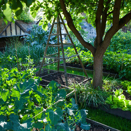 Grow your own | Country garden ideas | Homes & Gardens | Housetohome | PHOTOGALLERY