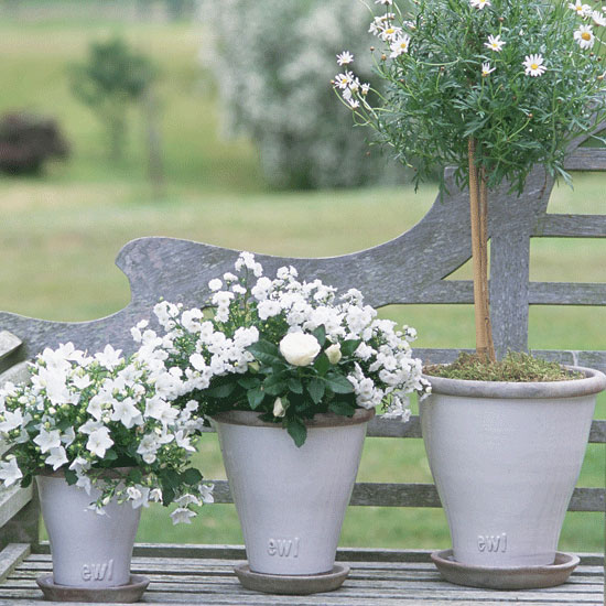 Potted pleasures | Country garden ideas | Homes & Gardens | Housetohome | PHOTOGALLERY