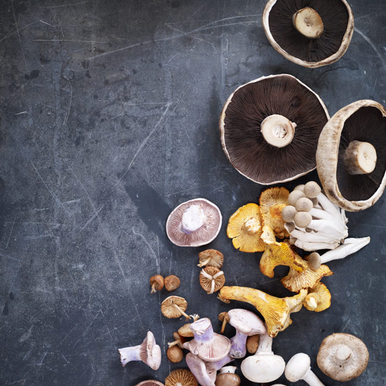 There are a number of mushroom foraging courses held throughout the UK in autumn